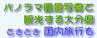 �p�m���}���i�ʐ^�Ŋό�����啪���Ƃ��ǂ��������s