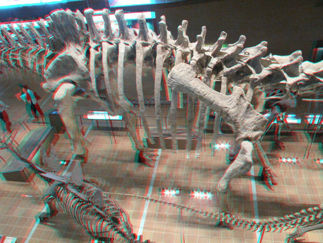 �N���b�N���Ă�