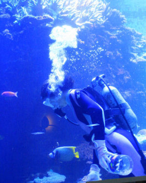 ���̎ʐ^�Ō��鐅���ق�