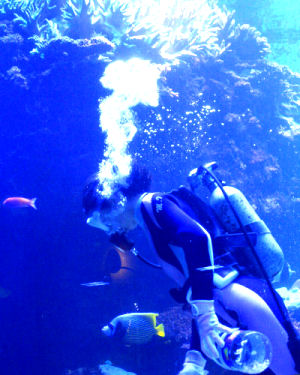 ���̎ʐ^�Ō��鐅���ق�