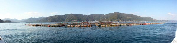 �N���b�N���Ă�