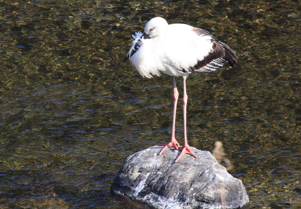 �R�E�m�g��